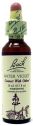 BACH 34 WATER VIOLET (VIOLETA DE AGUA) 20 ML