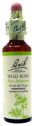 BACH 37 WILD ROSE (ROSA SILVESTRE) 20 ML