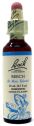 BACH 3 BEECH (HAYA) 20 ML