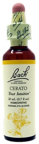 FLOR BACH 5 CERATO 20ML BACH ORIGINAL