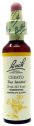 FLOR BACH 5 CERATO 20ML BACH ORIGINAL
