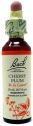 BACH 06 CHERRY PLUM 20 ML