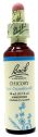 BACH 08 CHICORY (ACHICORIA) 20 ML