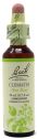 BACH CLEMATIS 09 20 ML