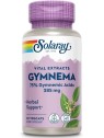 GYMNEMA 385 MG 60 CAPSULAS SOLARAY