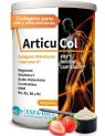 ARTICUCOL COLAGENO HIDROLIZADO+MG+AC.HIALU+MSM+CONDRI 300GR, ESPA-DIET