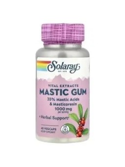MASTIC GUM 45 CAPSULAS SOLARAY