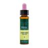 ELIXIR FLORAL N.1 AGRIMONIA 10ML BACH PLANTIS