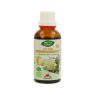 MIX FEB 14  50ML PHYTOBIOPOLE BIO
