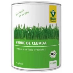 VERDE CEBADA POLVO BIO 75GR RAAB