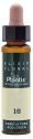 N.16 MADRESELVA 10ML PLANTIS