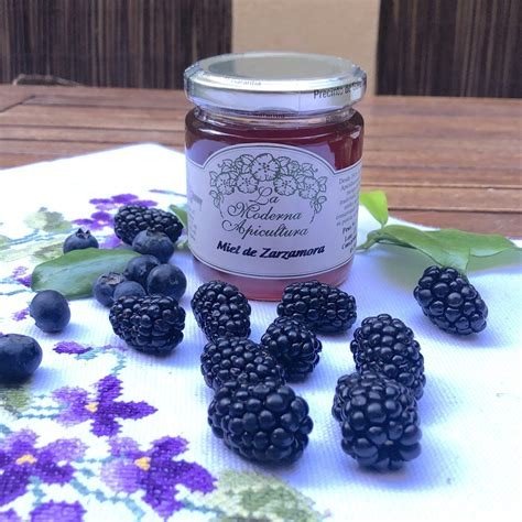 MIEL DE ZARZAMORA 270 GR BARONCELI