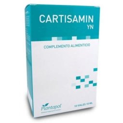 CARTISAMIN YN 1.500MG 10VIALES PLANTAPOL