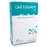 CARTISAMIN YN 1.500MG 10VIALES PLANTAPOL