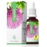 REGALEN 30ML ENERGY