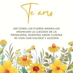 EL MESAJE DE LAS FLORES