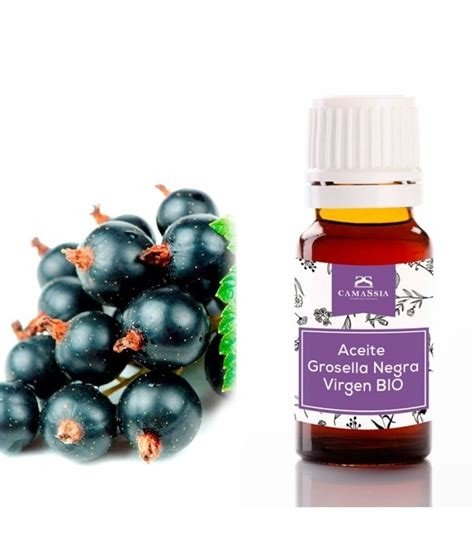 ACEITE GROSELLA NEGRA VIRGEN BIO 10ML CAMASSIA