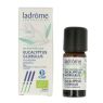 ACEITE DE EUCALIPTO GLOBULUS BIO 10ML CAMASSIA
