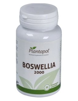 BOSWELLIA 2000 30COMP PLANTAPOL