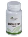 BOSWELLIA 2000 30COMP PLANTAPOL