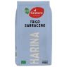 TRIGO SARRACENO BIO 1KG ICBIO