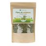 PIPA DE CALABAZA BIO 1KG ICBIO