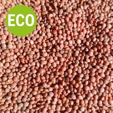 LENTEJA ROJA BIO 1KG ICBIO
