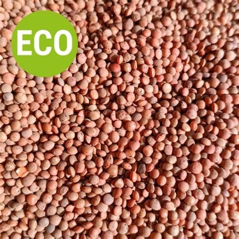 LENTEJA ROJA BIO 1KG ICBIO