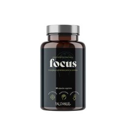 FOCUS 60CAP PALEOBULL