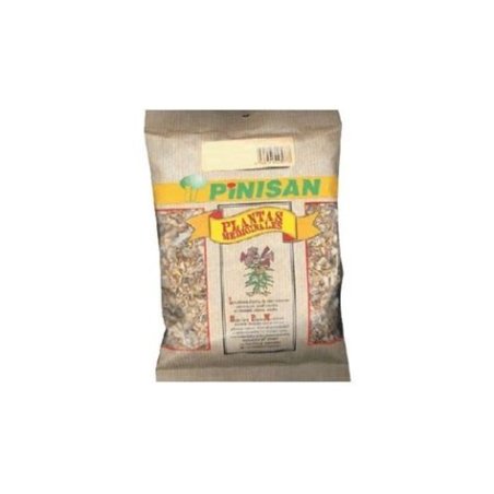 CUASIA AMARA 40 GR PINISAN