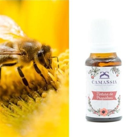 REPELENTE INSECTOS CAMASSIA 10ML