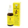 FLOR DE LYS ESENCIA FLORAL E.F MEDITERRANEO 30 ML