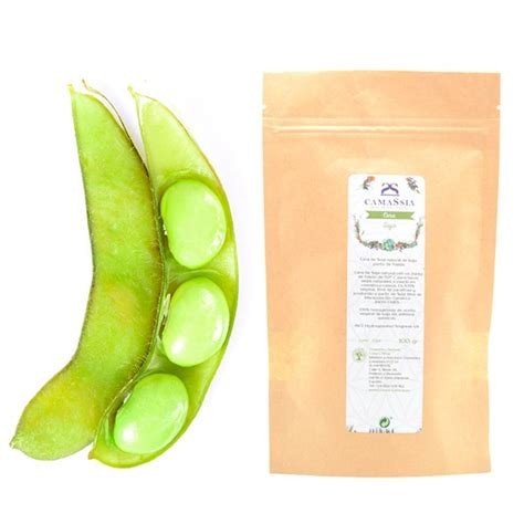 CERA SOJA 1000GR CAMASSIA