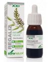 REGALIZ PLANTA SORIA NATURAL