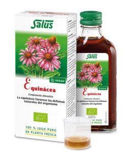 JUGO EQUINACEA ECO 200ML SALUS