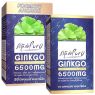 GINKGO BILOBA 6500 MG ESTADO PURO 40 CAPSULAS