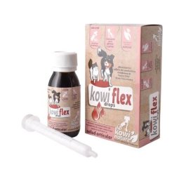 KOWI FLEX DROPS 60 ML PINISAN