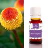 PRINCIPIO ACTIVO BOTOX VEGETAL 10ML CAMASSIA