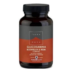 GLUCOSAMINA BOSWELIA & MSM 50 CAPSULAS TERRANOVA
