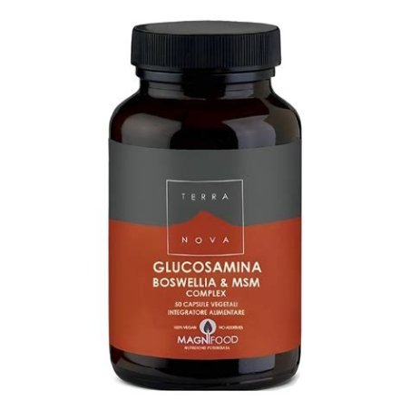 GLUCOSAMINA BOSWELIA & MSM 50 CAPSULAS TERRANOVA
