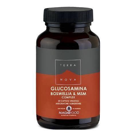 GLUCOSAMINA BOSWELIA & MSM 50 CAPSULAS TERRANOVA