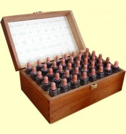 SET COMPLETO MADERA 10 ML PLANTIS FLORES DE BACH
