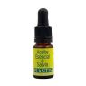 ACEITE ESENCIAL DE SALVIA PLANTIS 10 ML