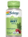 REMOLACHA BEET ROOT 605 MG 100 CAPSULAS SOLARAY