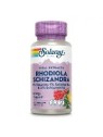 RHODIOLA & SCHIZANDRA 500 MG 60 CAPSULAS SOLARAY