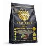 RAW PROTEINA FRESA Y MORINGA 1 KG VEGGIE STYLE