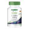 L-LISINA 500 MG 100 CAPSULAS FAIRVITAL