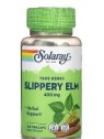 SLIPPERY ELM 100 CAPSULAS SOLARAY