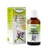 EXTRACTO EPILOBIO 50ML BIOVER