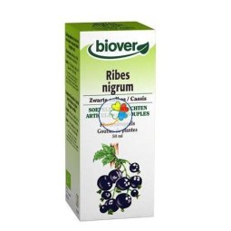 RIBES NIGRUM (GROSELLERO NEGRO) BIOVER 50 ML TINTURA